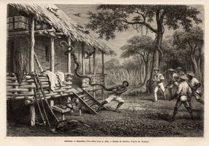 Egy piton lépett be az utazó és a narrátor terébe, miközben az összes jelenlévő különálló, hogy megvédje magát, a kígyót kiűzi az egyik szolga, aki miután kudarcot vallott a lasszóval, megragadta a farkánál. Metszet illusztrátornak th alkotó: Unknown artist