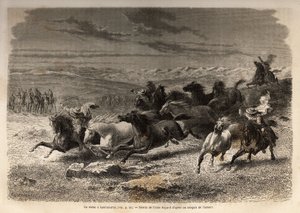 A Lauramarca-i (Alsó-Peru) rodeó, a vadlovak befogása, a régió tulajdonosának kezdőbetűivel ellátott vasjelzésük előtt, teljes látványosságnak számítva, sok badaud gyűlt össze. Metszet a Quinquin völgyeiben tett utazás illusztrálására alkotó: Unknown artist