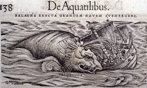 A bálna tönkreteszi a hajó testét és elsüllyed. Conrad Gesner (1516-1565), Tiguri Historia Animalium metszete alkotó: Unknown artist