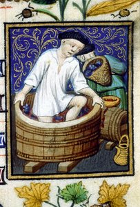 Szeptember allegorikus ábrázolása. Szüret, szőlőcsupaszítás. 14. századi kézirat miniatűrje. alkotó: Unknown artist
