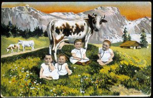 Csecsemők makacskodik a tehén a pipánál - Képeslap, 19. század vége alkotó: Unknown artist