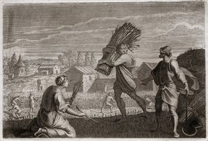 Royaumont Biblia, Ószövetség: Ruth követi anyósát, Noémit (Naomi, Noémi) Júda földjén, és learatja Boáz (Boáz) búzamezőit. Illusztráció 1811-ből. alkotó: Unknown artist