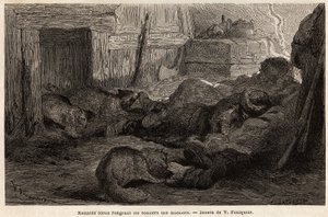 A megfigyelőállomás menedékében alvó tengerészek cipőjét rágcsáló kék rókák, V. Foulquier rajza a Spitzberg szemléltetésére alkotó: Unknown artist