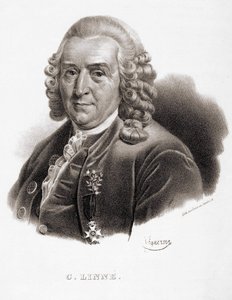 Carl Von Linné svéd természettudós és író (1707-1778). alkotó: Unknown artist