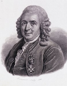 Carl Von Linné svéd természettudós és író (1707 - 1778) - „Hasznos férfiak portréja” alkotó: Unknown artist