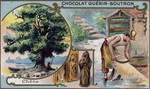 Csokoládék kromolitográfiás csomagolása Guérin Boutron.19. század. alkotó: Unknown artist