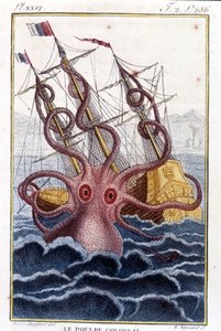 Kolosszális polip (polip, óriás tintahal, kraken) megtámad egy hajót (hajót, hajót) - Pierre Denys-Montfort (Denys de Montfort 1766-1820) „” Histoire naturelle des mollusques” című könyvének metszetei, eredeti kiadás, 1802) - alkotó: Unknown artist