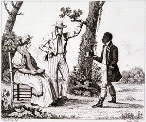 Martinique-i kreol (fekete szolga és néhány fehér) - a „festői Franciaországban”, T.III. alkotó: Unknown artist