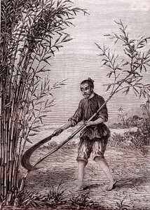 Bambuszvágás, papírgyártás Kínában (Kr. e. 3. század) (metszet) alkotó: Unknown Artist