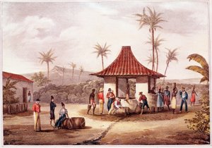 Mindennapi élet a Zöld-foki-szigeteken (Zöld-foki-szigetek) A szökőkútnál átkelő falu lakói. századi litográfia. Outremer lisszaboni történelmi archívuma alkotó: Unknown artist