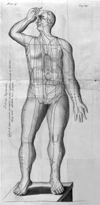 De Acupunctura, W.Ten Rhijn. London 1683. Az akupunktúrával foglalkozó első nyugati szöveg. alkotó: Unknown artist