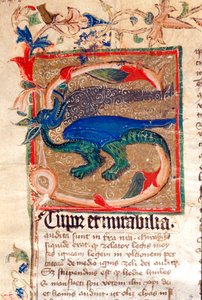 Dragon Decoree Lettrine 14. századi kézirat részlete alkotó: Unknown artist