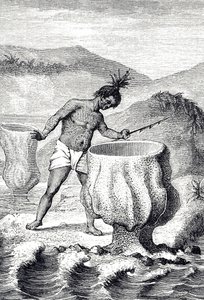 Metszet, amely a Neptunusz Serlegének (Thalassema Neptune) nevezett szivacsfajtát ábrázolja alkotó: Unknown artist