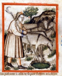 Esa szamarakat legel – a Pentateuch. Miniatűrök a 212-es kódexből (vagy Padovano kódexből vagy Páduai Bibliából) 1390-1400 Rovigo, Accademia dei Concordi alkotó: Unknown artist