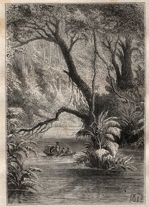 Alexander von Humboldt (1769-1859) és Aime Bonpland (1773-1858) amerikai expedíciója (1799-1804): a felfedezők leereszkednek az Orenoque-ba, az Amazonas-erdő gigantikus fáitól körülvéve (Cano Pimichin, Venezuela) - illusztráció készült a „The Great alkotó: Unknown artist
