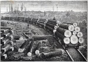 Az Egyesült Államok erdőinek kiaknázása. Ideiglenes vasutak fa pályával. Fatörzseket szállító kocsik. Metszet a "" La Nature"-be alkotó: Unknown artist
