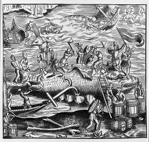 Halászat és bálnavadászat, Thevet „Universal Cosmography” című művéből származó fametszet alapján. Párizs 1575 alkotó: Unknown artist