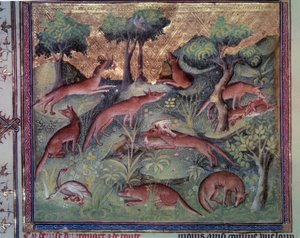 Rókavadász baromfi. Miniatűr Gaston Phoebus (1331-1391) „Le livre de la chasse” (fólió 34v) kéziratából, Gaston III Comte De Foix alkotó: Unknown artist