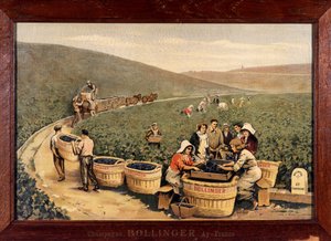 Szüret Bollingerben. 1900 körül. alkotó: Unknown Artist
