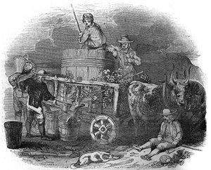 Harvester a horvátországi Polában (Pula) (Isztria) a XIX. alkotó: Unknown artist