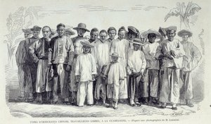 A francia gyarmatok története: Guadeloupe-ban dolgozó kínai bevándorlók. Rajzok fénykép után a 19. század végi Chartres-i musee des Beaux Arts-ról alkotó: Unknown artist