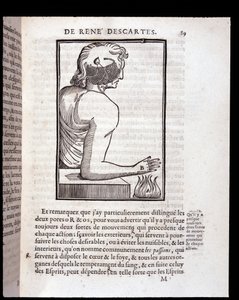 Az emberi érzékszervi rendszer kapcsolódik az agyhoz – Párizsban: Rene Descartes embere és a magzat kialakulása alkotó: Unknown artist