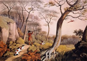 Fácánvadászat Angliában. 19. századi metszet. Gien, vadászati múzeum alkotó: Unknown artist