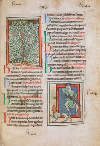 A Rue (Ruta) növény megvilágított miniatúrái, amelyek különféle betegségekre használhatók, beleértve a fájó szemeket, a feledékenységet és a letargiát; lent pedig egy férfi, aki kardot ránt, hogy megvédje magát egy vörös arcú veszett kutyától, akinek a har alkotó: Unknown artist