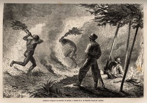 A bennszülött kanakok a narrátor és útitársa szeme láttára gyújtották meg a szavanna tüzet, amelyet ők maguk gyújtottak szúnyogvadászat céljából. Metszet az 1863-tól 1866-ig tartó új-kaledóniai utazás szemléltetésére, Jules Garnier építőmérnökétől. alkotó: Unknown artist