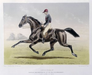 Inkerman – A kentaurban alkotó: Unknown artist