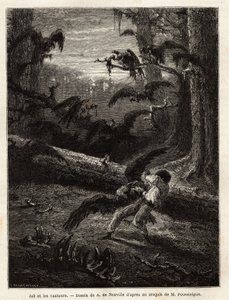 Job (a szerkesztő útitársa), keselyűk támadták meg. Metszet a Quatre mois en Florida című történet illusztrálására, M. Pousselgue, 1851-1852, megjelent a "" le tour du monde"-ban, D