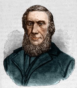 John Tyndall (1820-1893). ír fizikus. alkotó: Unknown artist