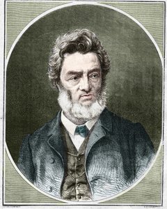 Jules Favre (1809-1880), francia politikus és jogász. alkotó: Unknown artist