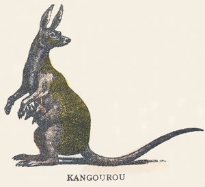 K: kenguru alkotó: Unknown artist