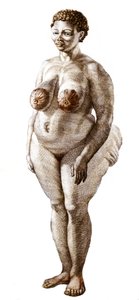La Venus Hottentote, Bochiman fajtájú nő (The Hottentot Venus), 1815-ös metszet. alkotó: Unknown artist