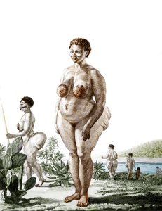 La Venus Hottentote, Bochiman fajtájú nő (The Hottentot Venus), 1815-ös metszet. alkotó: Unknown artist