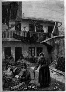 A ragpiszkálók: triage a természetből. Metszet a „The Journal of Youth”-ban alkotó: Unknown artist