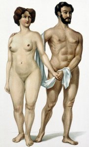 Férfi és nő - orvosi könyv, 19. század vége alkotó: Unknown artist