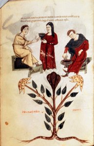 Gyógyszer: gyógynövényi főzet (pünkösdi rózsa) készítése. A miniatűr a „De diversis herbis” című könyvből származik, Nagy Hippokratész vagy Cos-i Hippokratész (Kr. e. 460-370) görög orvos alkotó: Unknown artist