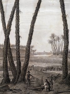Memphis, kilátás a romokra (tudósok és dolgozó művészek) - „Egyiptom leírása” című részben, Imperial Editions alkotó: Unknown artist