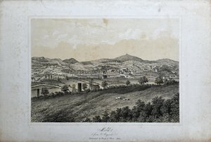 Penész (az Argoedtől), 1850 körül (litho papíron) alkotó: Unknown artist