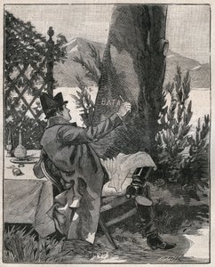 Napóleon Bonaparte (1769-1821) a Maggiore-tónál (Lago Maggiore) lévő Isola Bella szigetén egy babérfa törzsére írta a „Battaglia” szót, három nappal az 1800-as marengói csata előtt. 1885-ből származó metszet „”-ben. Les arts et metiers illustres” alkotó: Unknown artist