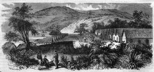 Új-Kaledónia – Nou sziget bűnbánója – 1870-es metszet alkotó: Unknown artist