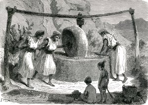 Olives grinding mill in Algeria 1885 alkotó: Unknown artist