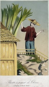 Papírgyár, Kína - gravírozás alkotó: Unknown artist