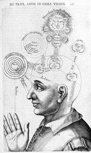 Fiziognómiai kép (frenológia) Robert Fludd (Robertus de Fludd) összegyűjtött műveiből. London 1617 alkotó: Unknown artist