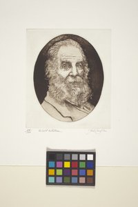 Walt Whitman portréja (tinta, nyomat) alkotó: Unknown artist