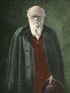 Charles Darwin portréja (1809-1882) alkotó: Unknown artist