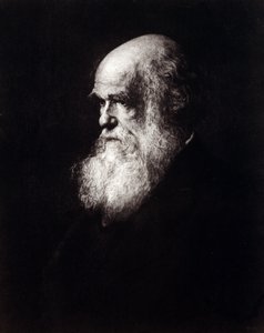 Charles Robert Darwin (1809-1882) portréja alkotó: Unknown artist