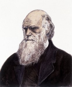 Charles Robert Darwin brit természettudós (1809-1882) portréja alkotó: Unknown artist
